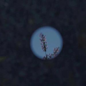 精品㊙️一区二三区免费雷安胖子
